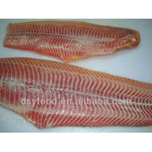 frozen catfish fillets